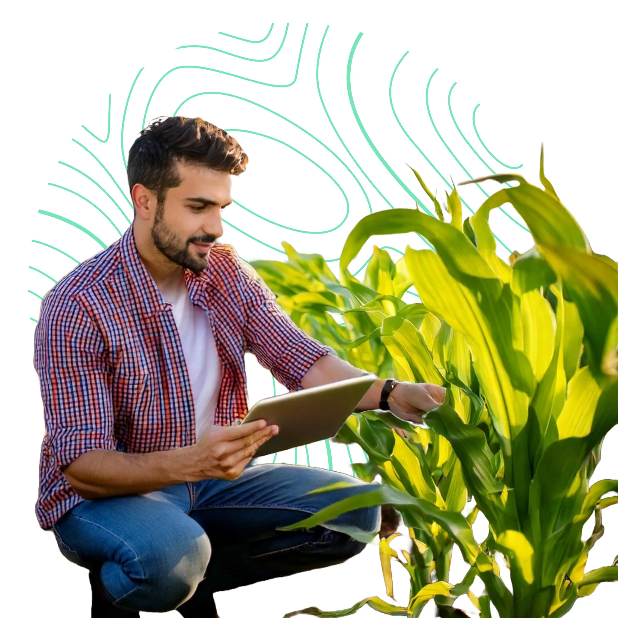 Agricultor examinando sus cultivos con herramientas tecnológicas avanzadas.