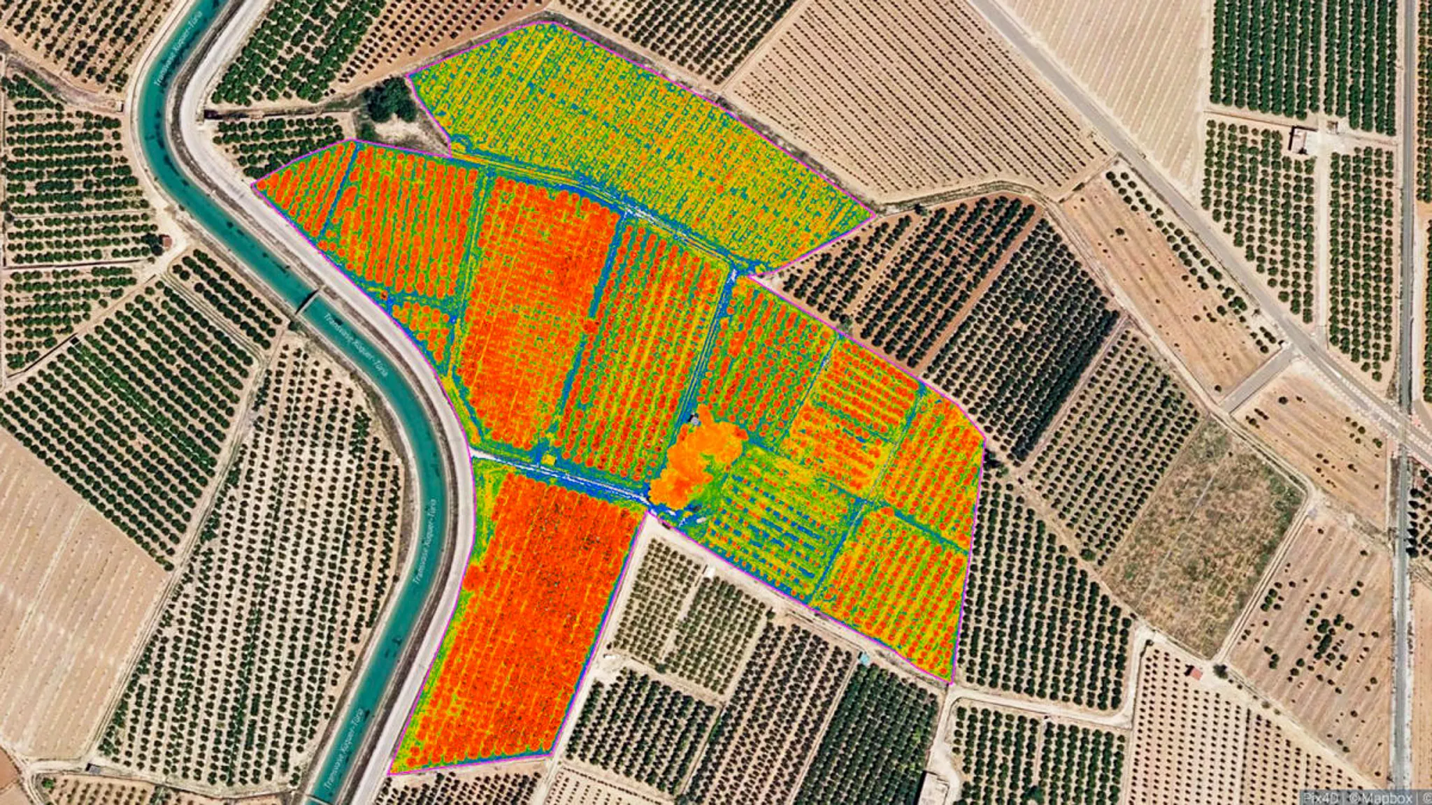 Vista aérea para análisis detallado de cultivos agrícolas.