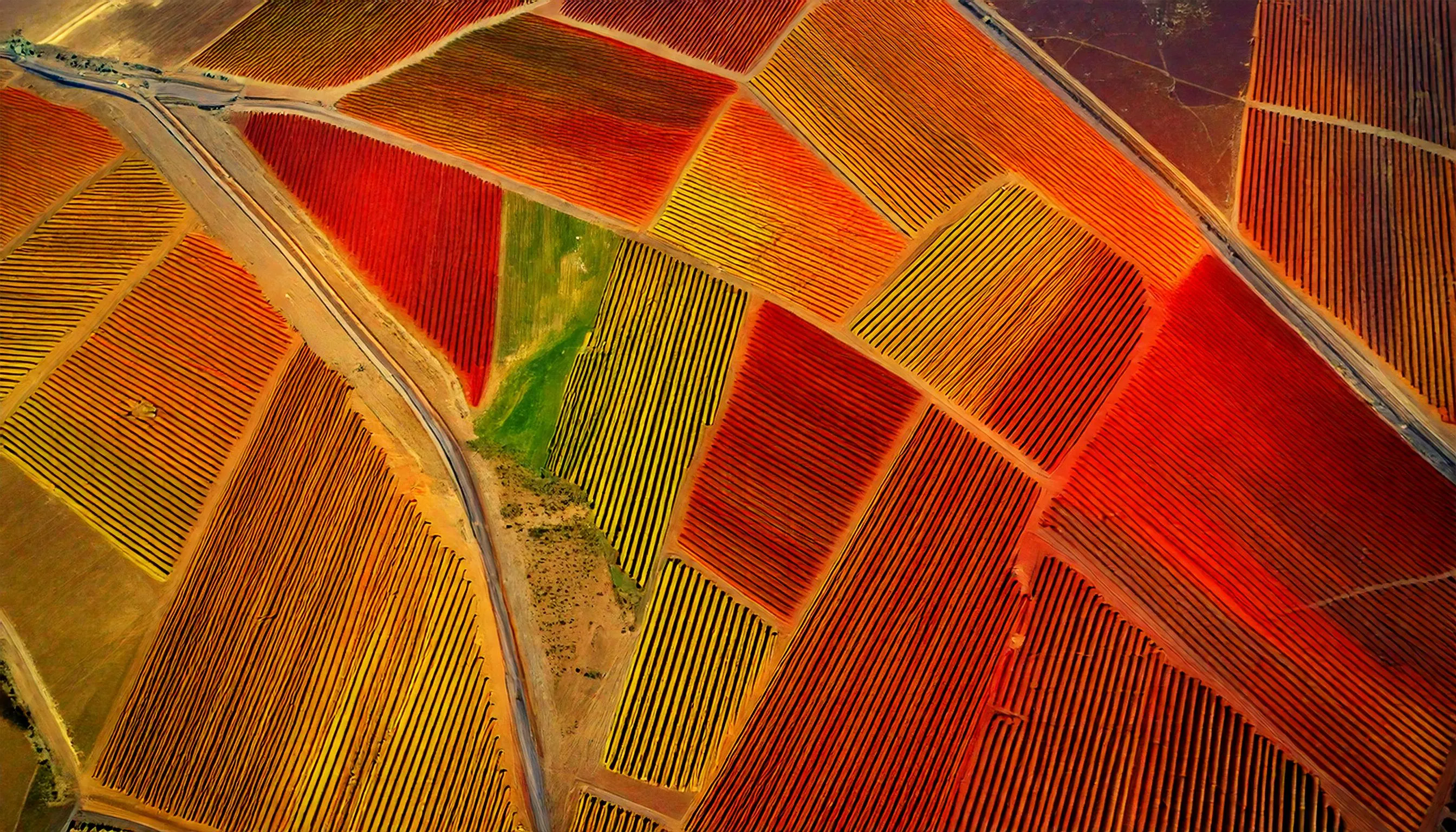Campo agrícola monitoreado con tecnología de drones para optimizar la producción.