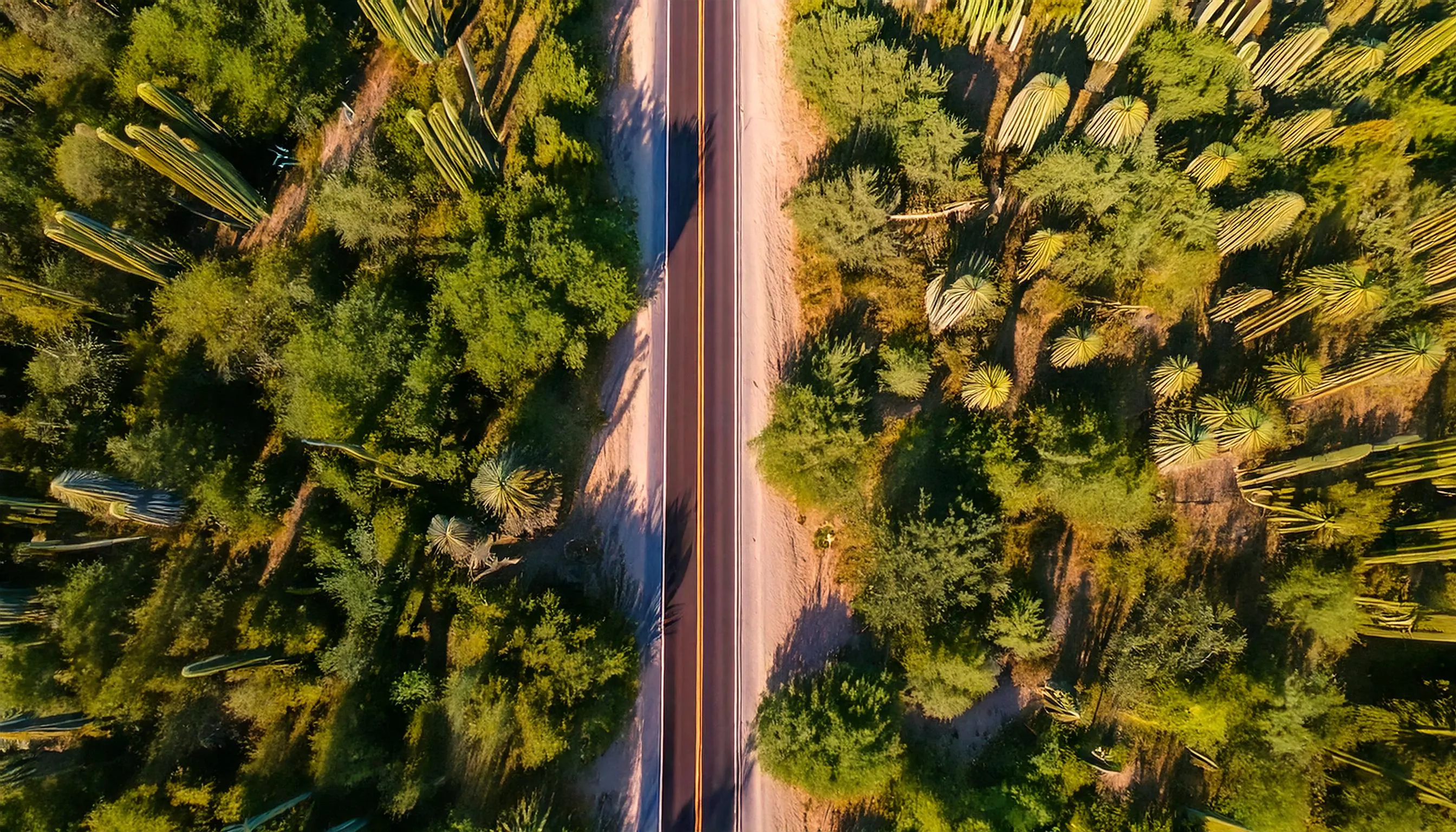 Carretera en desierto mexicano.