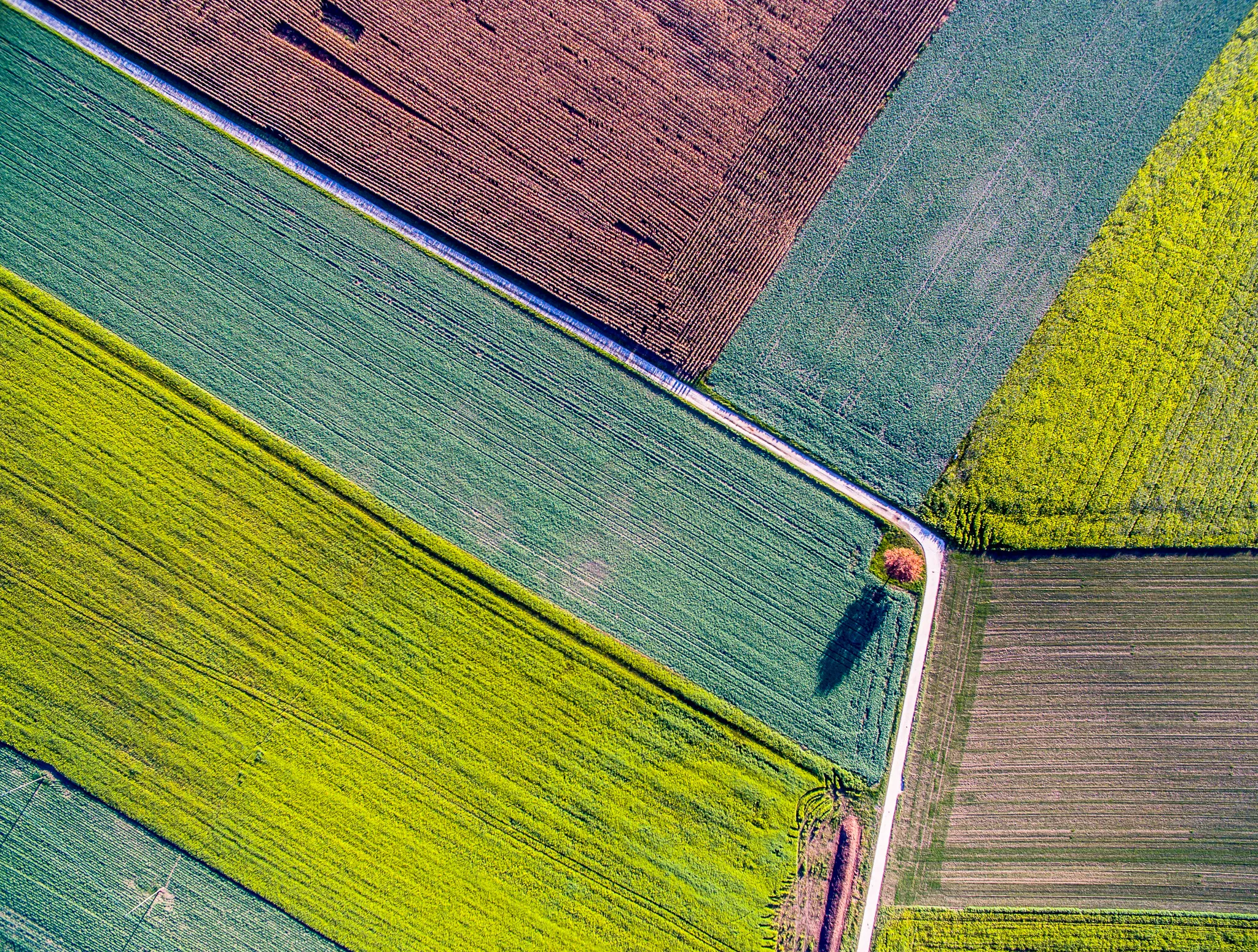 Fotografía aérea de campos agrícolas con análisis detallado.